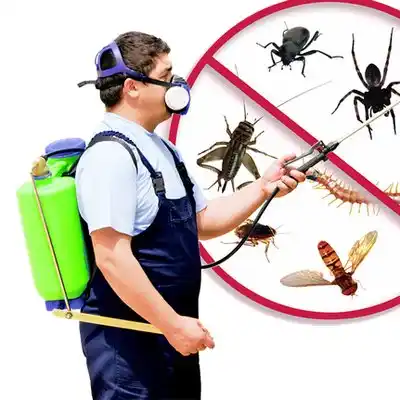 pest control Shark River Hills
